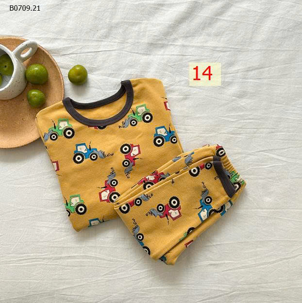 MẪU 14