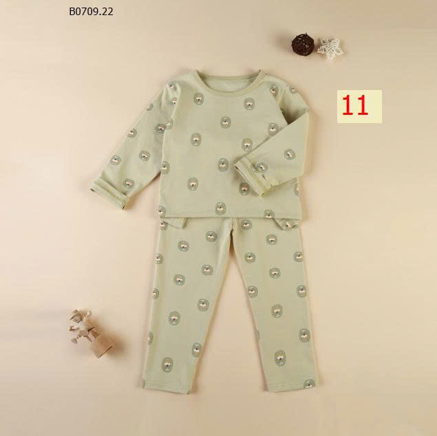 MẪU 11