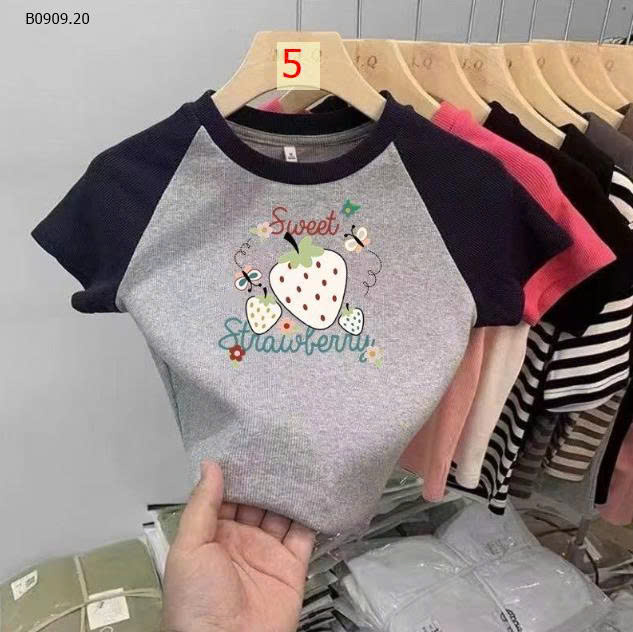 MẪU 5