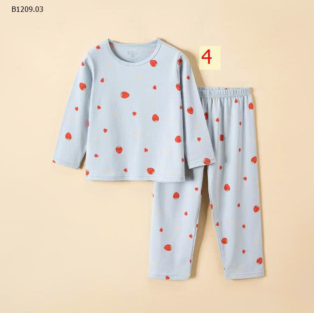 MẪU 4