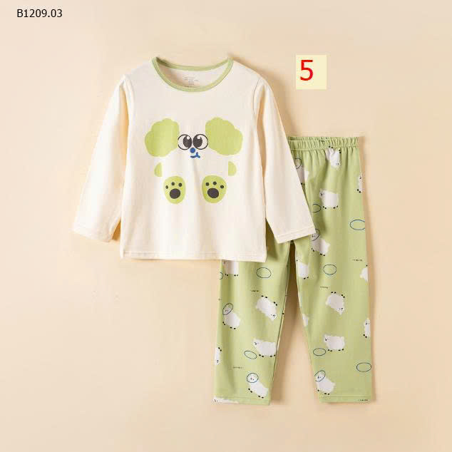 MẪU 5