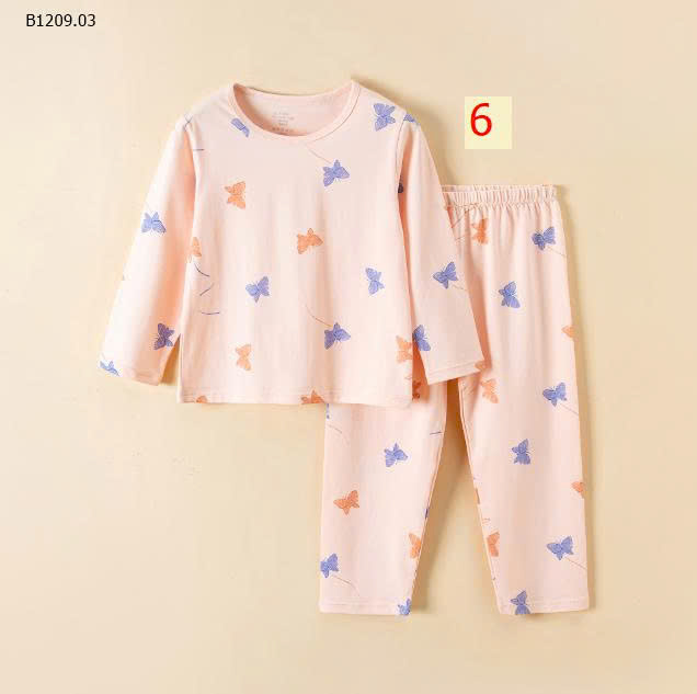 MẪU 6