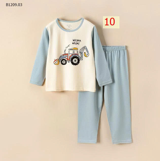 MẪU 10
