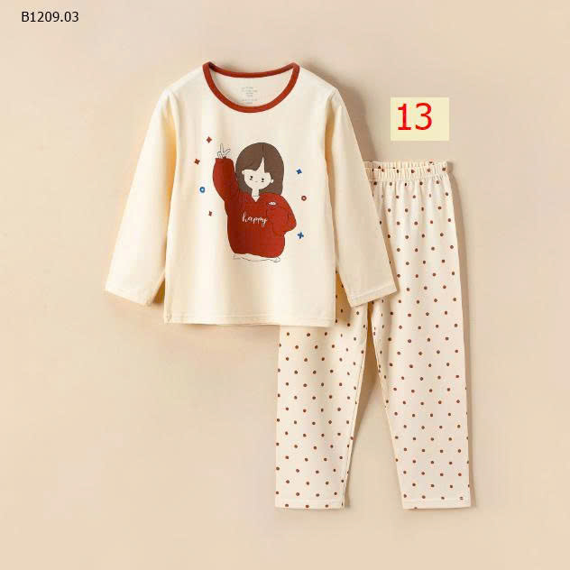 MẪU 13