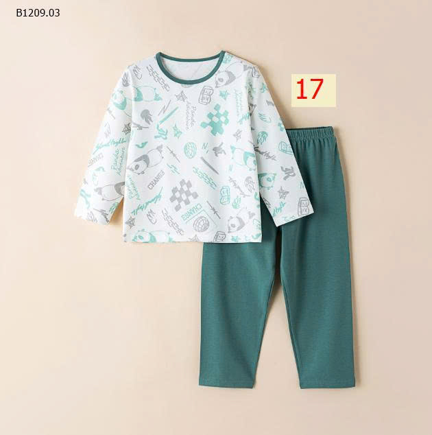 MẪU 17