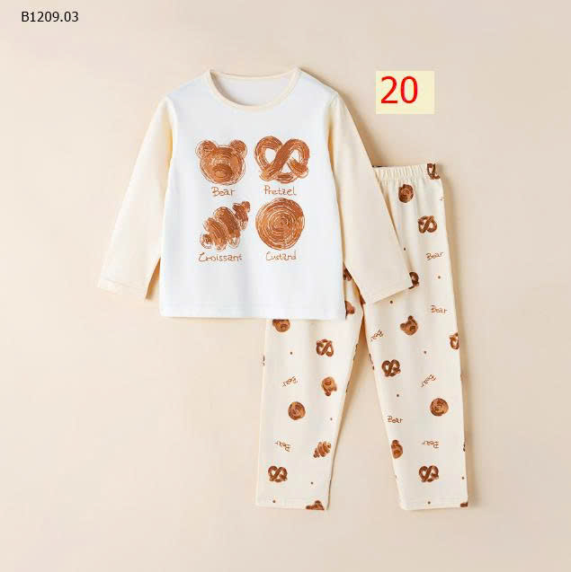 MẪU 20