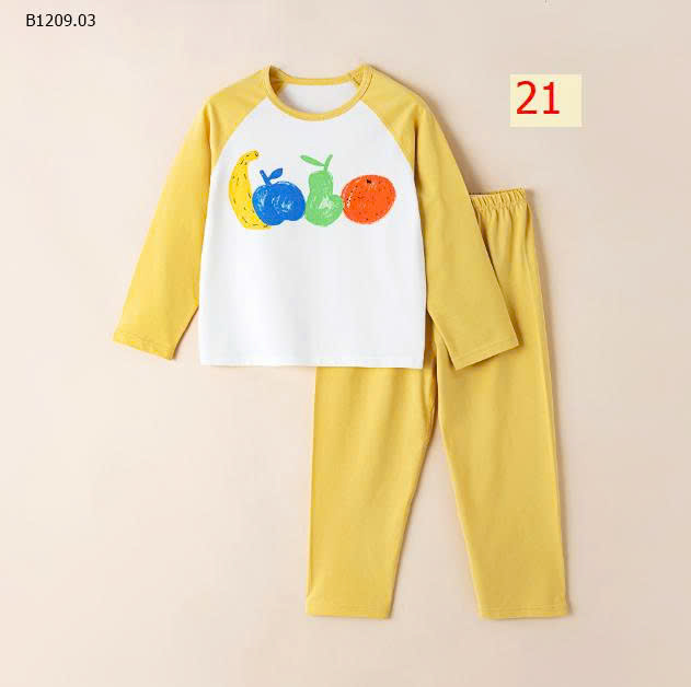 MẪU 21
