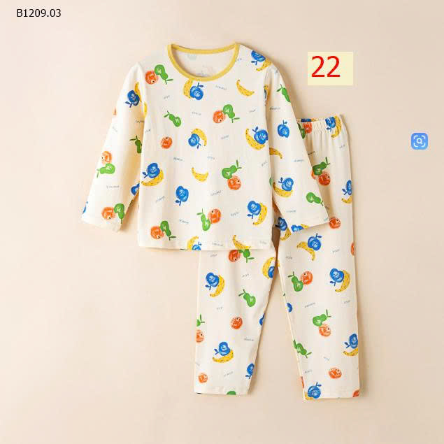 MẪU 22