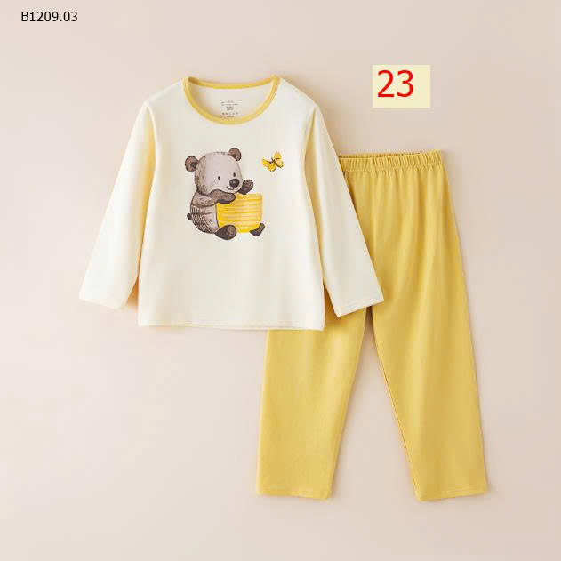 MẪU 23