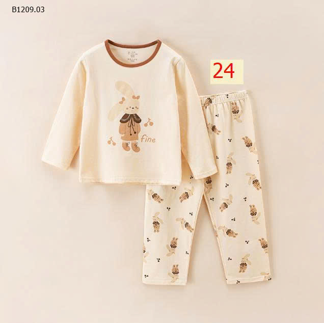 MẪU 24