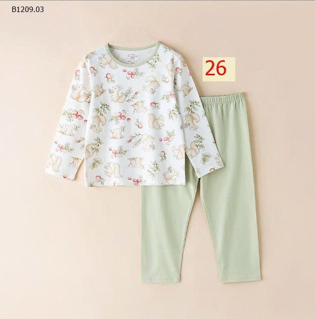 MẪU 26