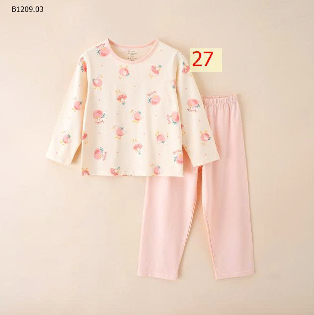 MẪU 27