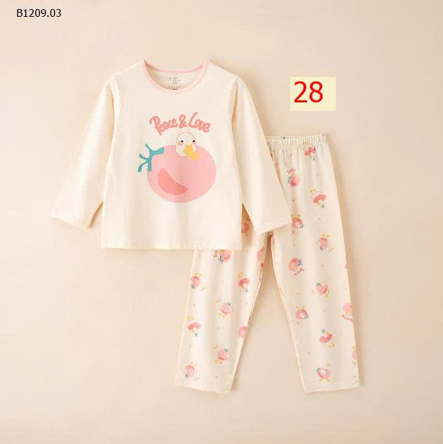 MẪU 28
