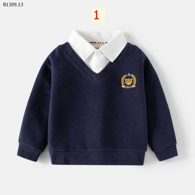 MẪU 1