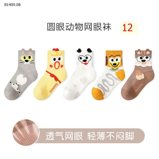 MẪU 12