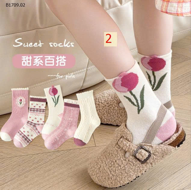 MẪU 2