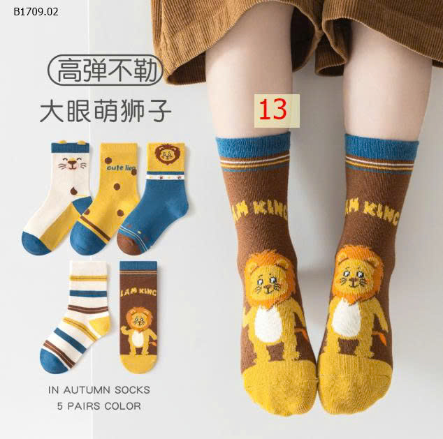 MẪU 13