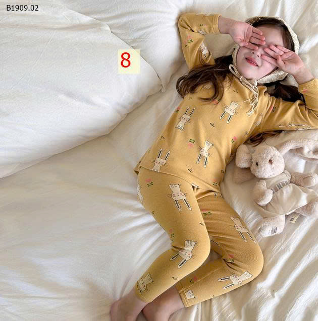 MẪU 8
