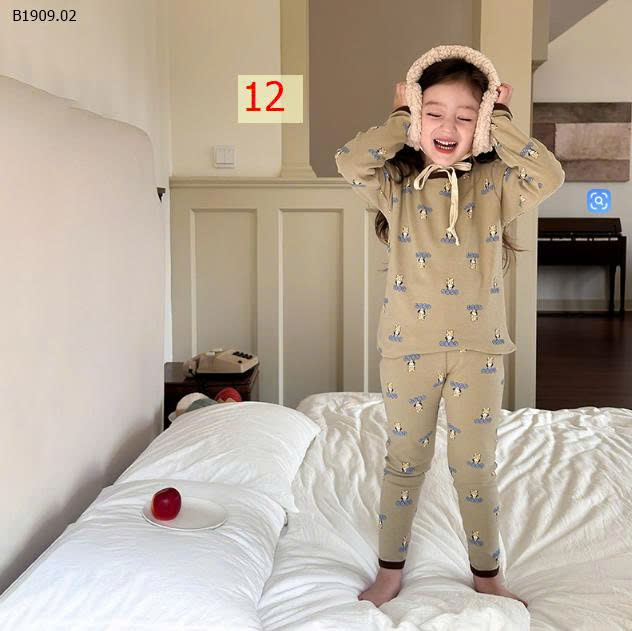 MẪU 12