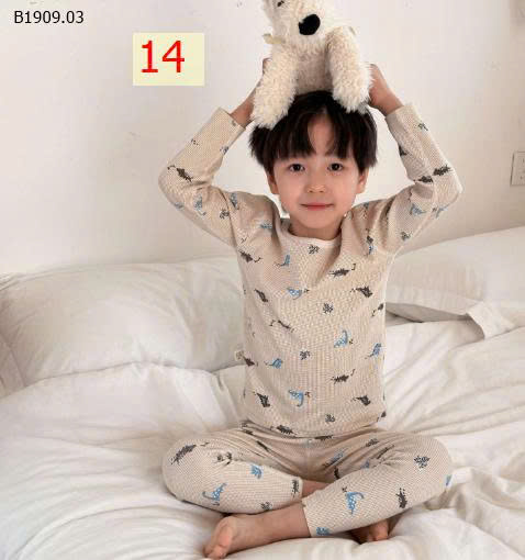 MẪU 14