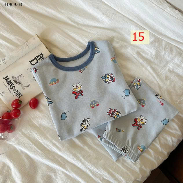 MẪU 15