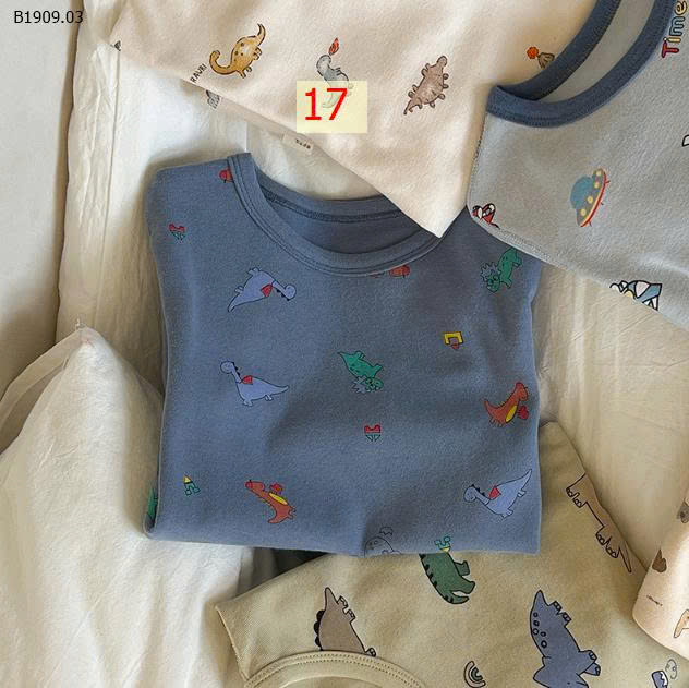 MẪU 17