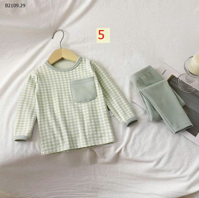 MẪU 5
