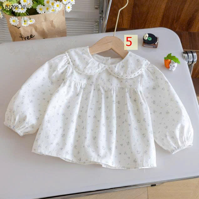 MẪU 5