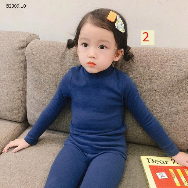 MẪU 2