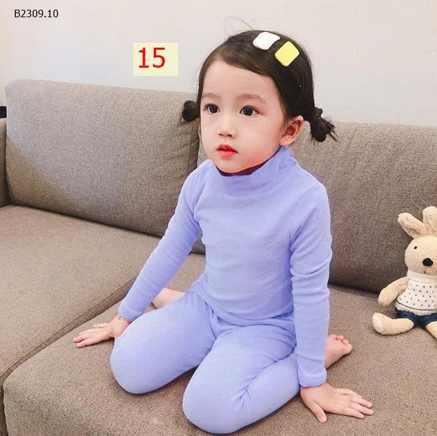 MẪU 15