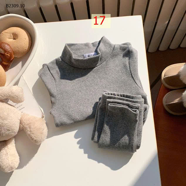 MẪU 17