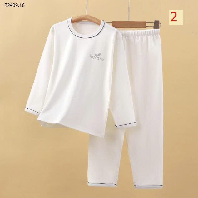 MẪU 2