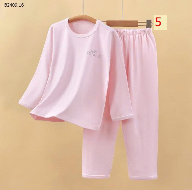MẪU 5