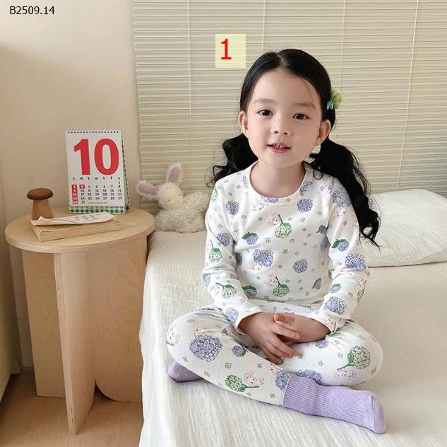 MẪU 1
