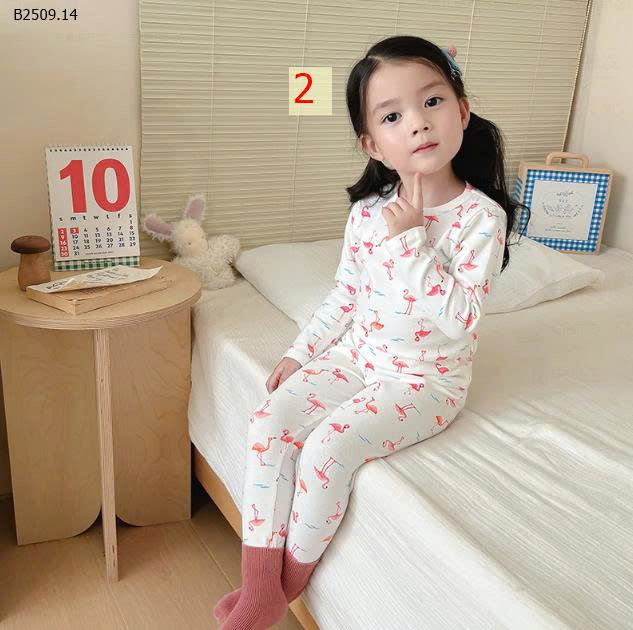 MẪU 2
