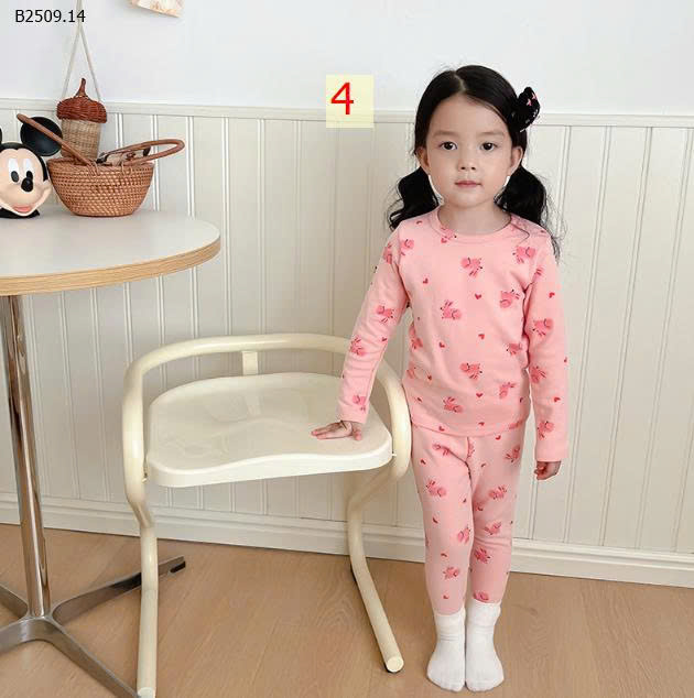 MẪU 4
