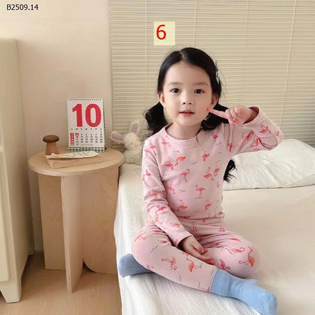 MẪU 6