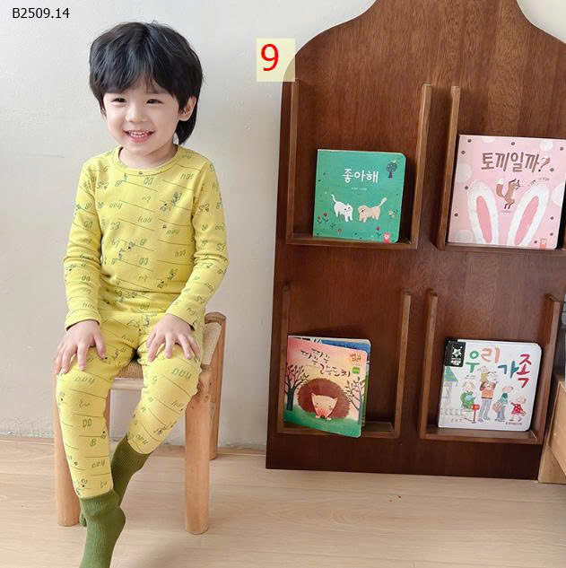 MẪU 9