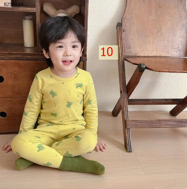 MẪU 10