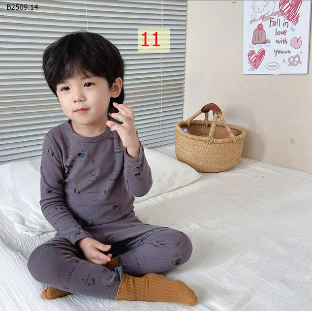 MẪU 11