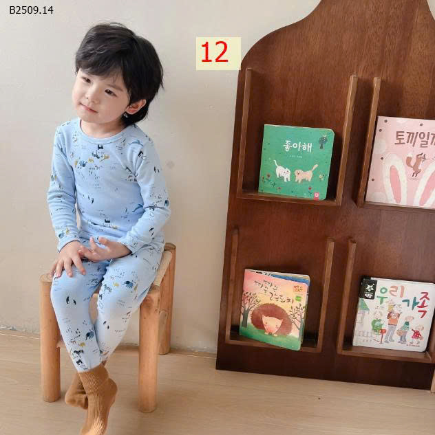 MẪU 12