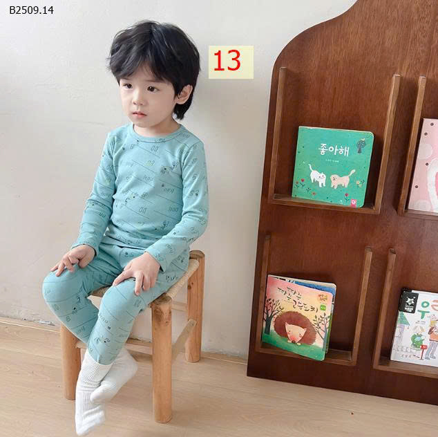 MẪU 13