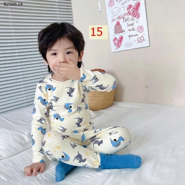 MẪU 15