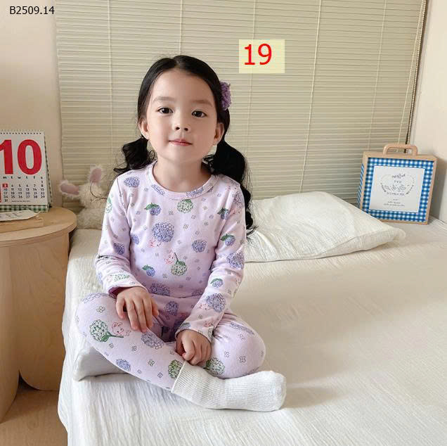 MẪU 19