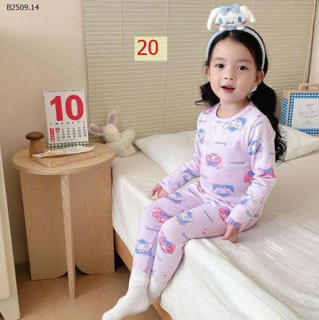 MẪU 20