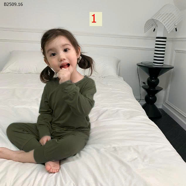 MẪU 1