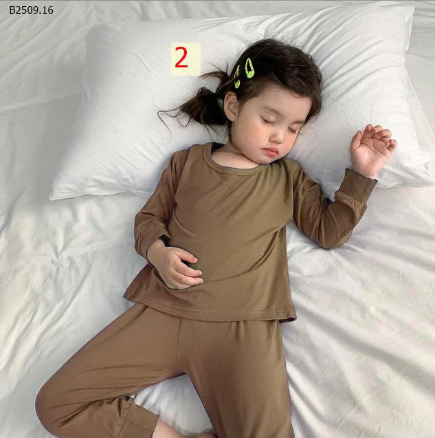 MẪU 2