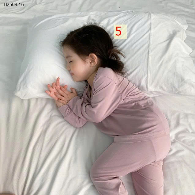 MẪU 5