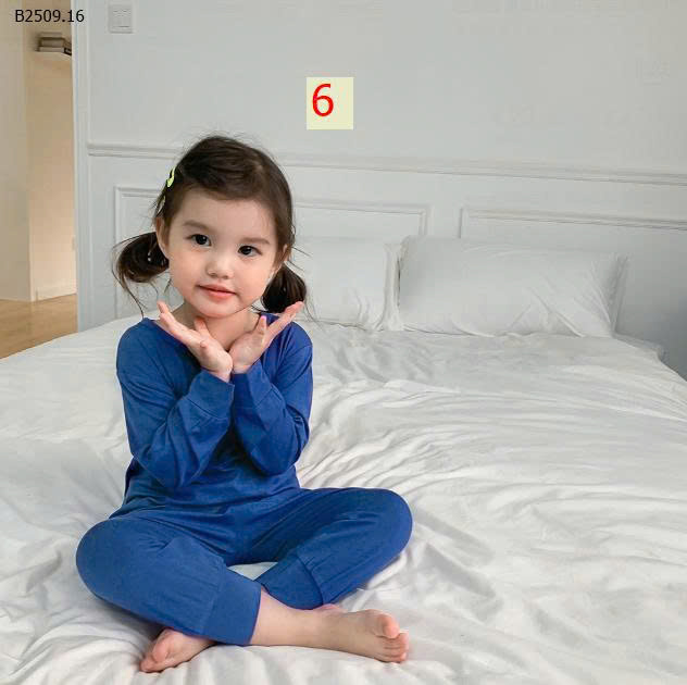 MẪU 6