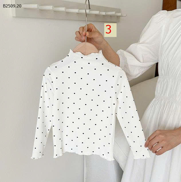 MẪU 3